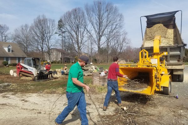 tree-removal-2 tree-removal-2